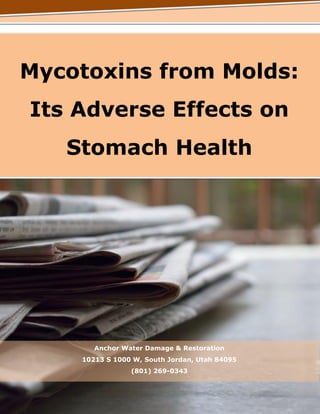 Mycotoxins from Molds:
Its Adverse Effects on
Stomach Health
Anchor Water Damage & Restoration
10213 S 1000 W, South Jordan, Utah 84095
(801) 269-0343
 