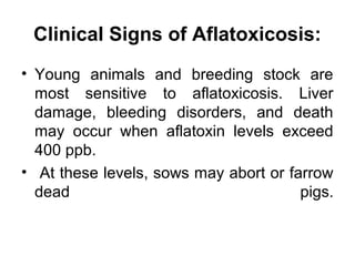 Mycotoxins in feed grains and ingredients | PPT