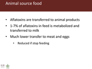 Animal source food
• Aflatoxins are transferred to animal products
• 1-7% of aflatoxins in feed is metabolized and
transferred to milk
• Much lower transfer to meat and eggs
• Reduced if stop feeding
 