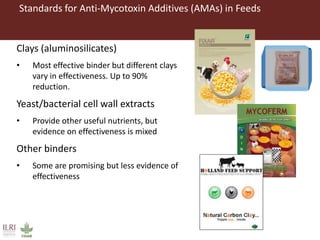 Standards for Anti-Mycotoxin Additives (AMAs) in Feeds
Clays (aluminosilicates)
• Most effective binder but different clays
vary in effectiveness. Up to 90%
reduction.
Yeast/bacterial cell wall extracts
• Provide other useful nutrients, but
evidence on effectiveness is mixed
Other binders
• Some are promising but less evidence of
effectiveness
 