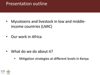 Mycotoxins in livestock systems in developing countries