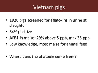 Mycotoxins in livestock systems in developing countries