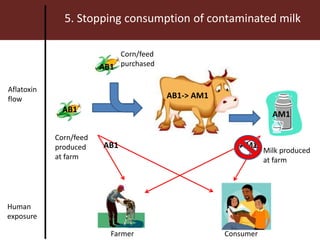 Mycotoxins in livestock systems in developing countries