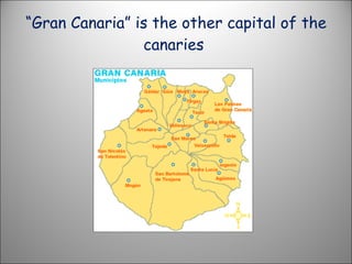 “ Gran Canaria” is the other capital of the canaries  