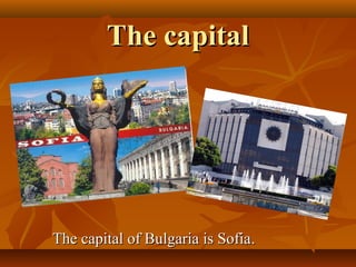 The capital




The capital of Bulgaria is Sofia.
 