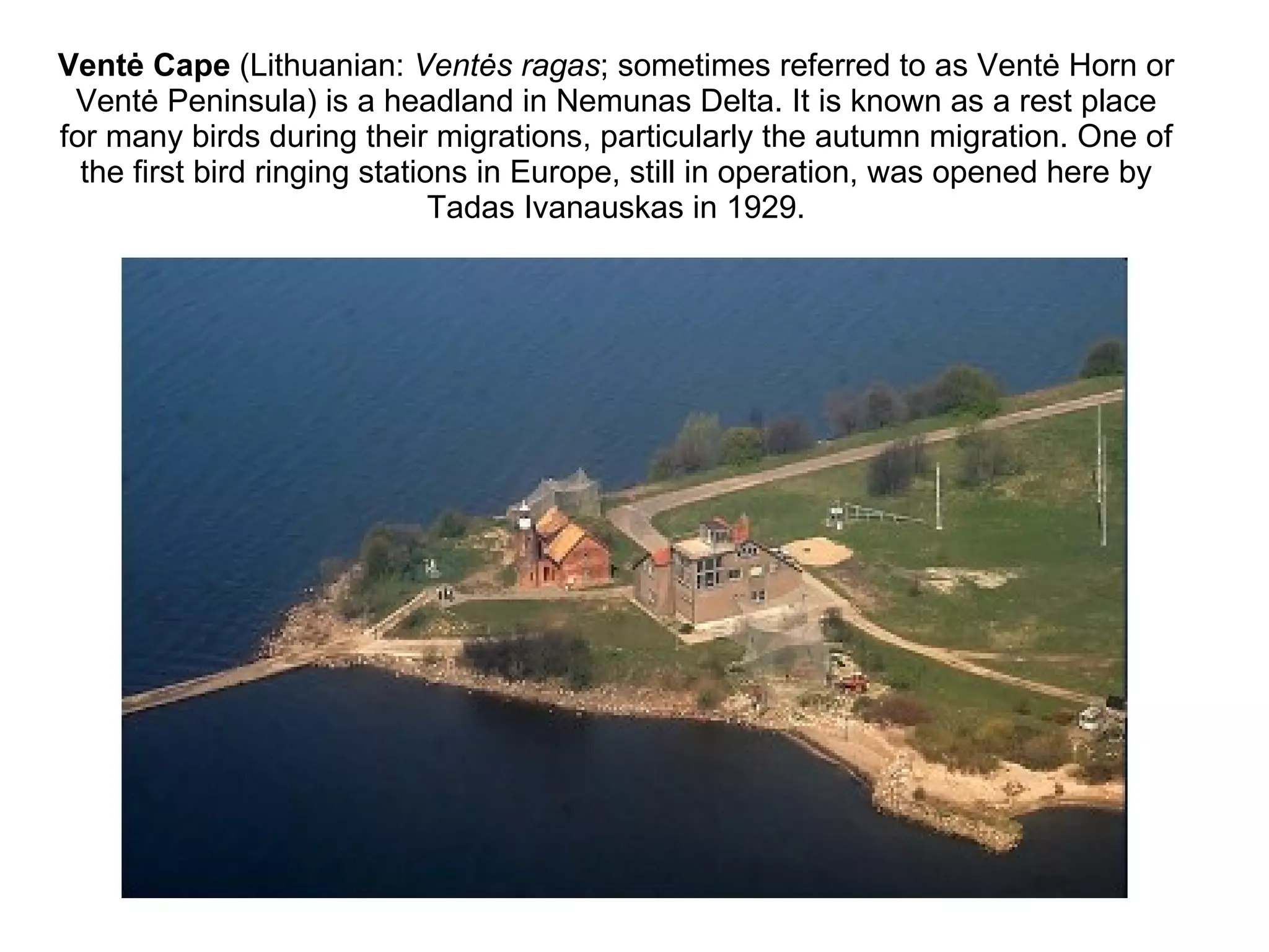 Ventė Cape  (Lithuanian:  Ventės ragas ; sometimes referred to as Ventė Horn or Ventė Peninsula) is a headland in Nemunas Delta. It is known as a rest place for many birds during their migrations, particularly the autumn migration. One of the first bird ringing stations in Europe, still in operation, was opened here by Tadas Ivanauskas in 1929.   