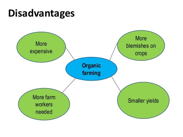 Advantages Of Organic Food Uk Advantages Of Organic Food Uk