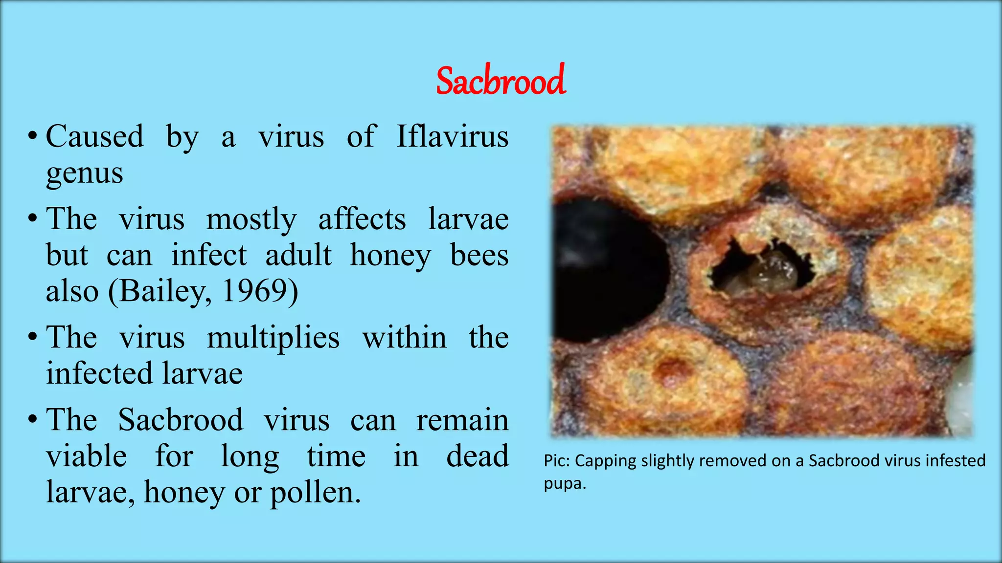 Diseases and Enemies of Honey Bee and Silk Moth | PPTX