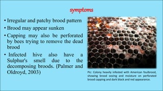 Poor Brood Pattern Diseases and Enemies of Honey Bee and Silk Moth | PPTX