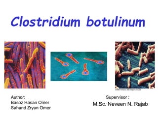 Clostridium botulinum
Author: Supervisor :
Basoz Hasan Omer
Sahand Zryan Omer
M.Sc. Neveen N. Rajab
 