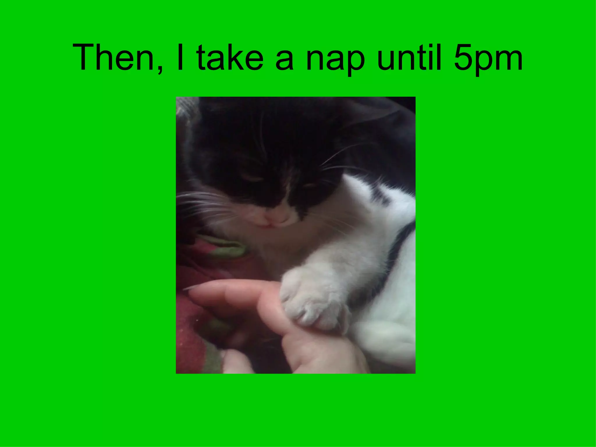 Then, I take a nap until 5pm