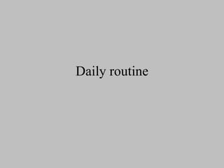 Daily routine 