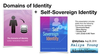 Kaliya Young
Self-Sovereign Identity
Domains of Identity
+
@ Aug 29, 2018
This presentation includes
slides from the following
Community members:
* Drummond Reed
* Manu Sporny
* Timothy Ruff
* John Jordan & BC Team
 