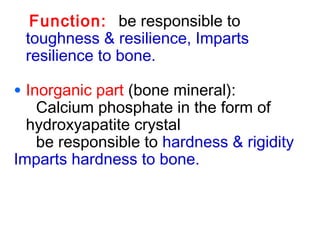 Function: be responsible to 
toughness & resilience, Imparts 
resilience to bone. 
• Inorganic part (bone mineral): 
Calcium phosphate in the form of 
hydroxyapatite crystal 
be responsible to hardness & rigidity 
Imparts hardness to bone. 
 