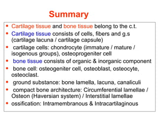 Summary 
• Cartilage tissue and bone tissue belong to the c.t. 
• Cartilage tissue consists of cells, fibers and g.s 
(cartilage lacuna / cartilage capsule) 
• cartilage cells: chondrocyte (immature / mature / 
isogenous groups), osteoprogeniter cell 
• bone tissue consists of organic & inorganic component 
• bone cell: osteogeniter cell, osteoblast, osteocyte, 
osteoclast. 
• ground substance: bone lamella, lacuna, canaliculi 
• compact bone architecture: Circumferential lamellae / 
Osteon (Haversian system) / Interstitial lamellae 
• ossification: Intramembranous & Intracartilaginous 
 