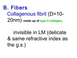B. Fibers 
Collagenous fibril (D=10- 
20nm) made up of type II collagen, 
invisible in LM (delicate 
& same refractive index as 
the g.s.) 
 