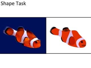 Shape Task
 
