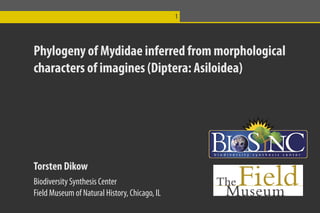 1




Phylogeny of Mydidae inferred from morphological
characters of imagines (Diptera: Asiloidea)




Torsten Dikow
Biodiversity Synthesis Center
Field Museum of Natural History, Chicago, IL
 
