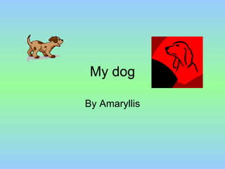 My dog

By Amaryllis
 