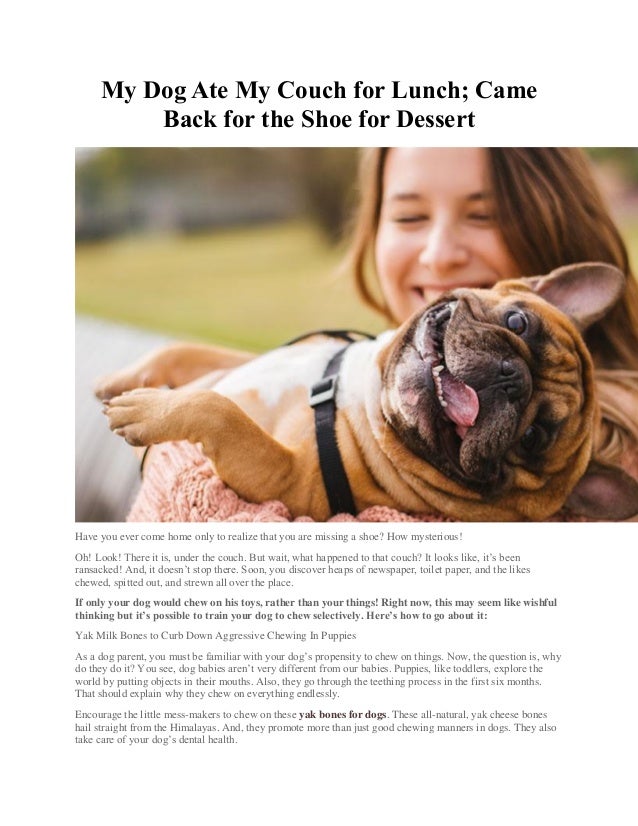 my dog ate a shoe
