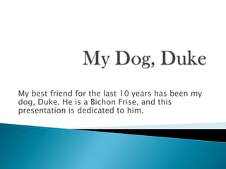 My best friend for the last 10 years has been my
dog, Duke. He is a Bichon Frise, and this
presentation is dedicated to him.
 