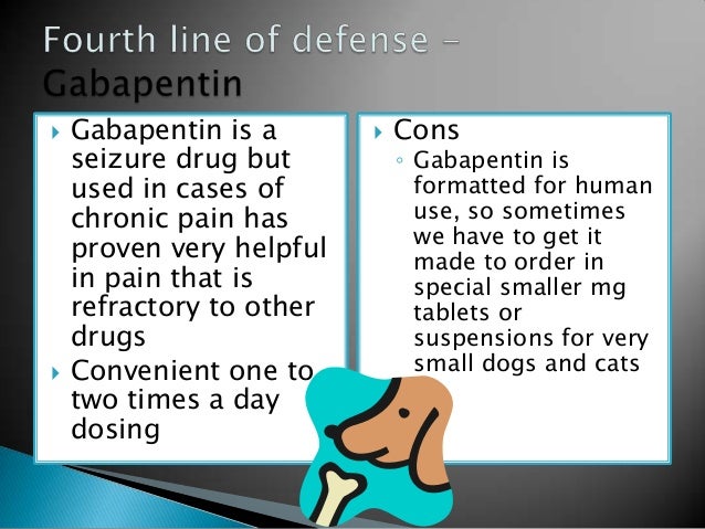 Can I Give My Dog Human Gabapentin Can I Give My Dog Human Gabapentin