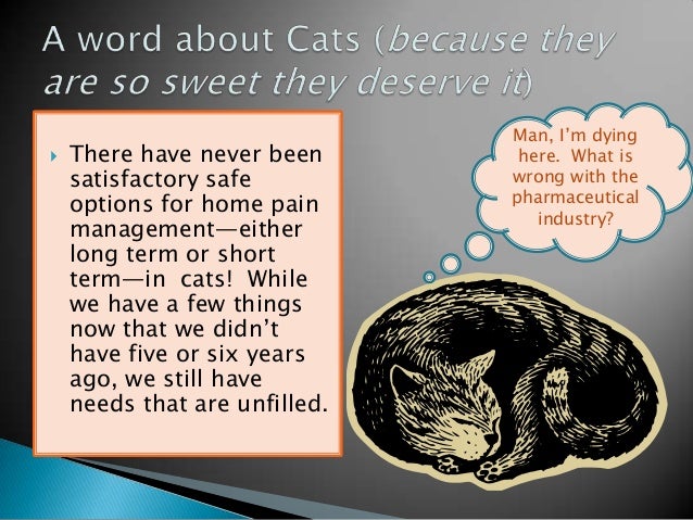 Onsior Long Term Cats Usa Onsior Long Term Cats Usa