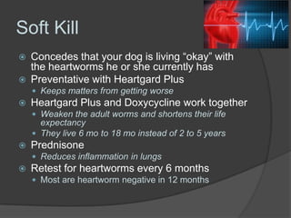 Soft Kill
   Concedes that your dog is living “okay” with
    the heartworms he or she currently has
   Preventative wit...