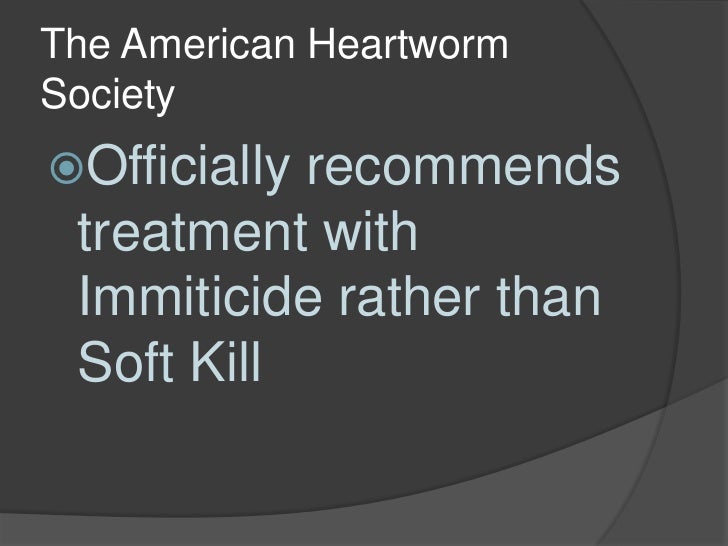 Doxycycline For Dogs Heartworms