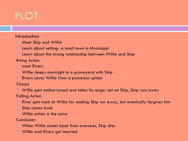 love stargirl book report