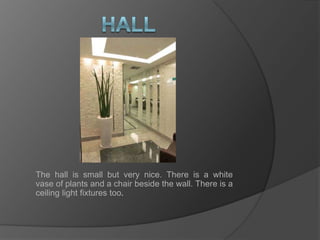 hallThe hall is small but very nice. There is a white vase of plants and a chair beside the wall. There is a ceiling light fixtures too.
