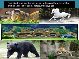 • Opposite the school there is a zoo . In this zoo there are a lot of
animals , like-lions, bears, horses, monkeys etc.
 