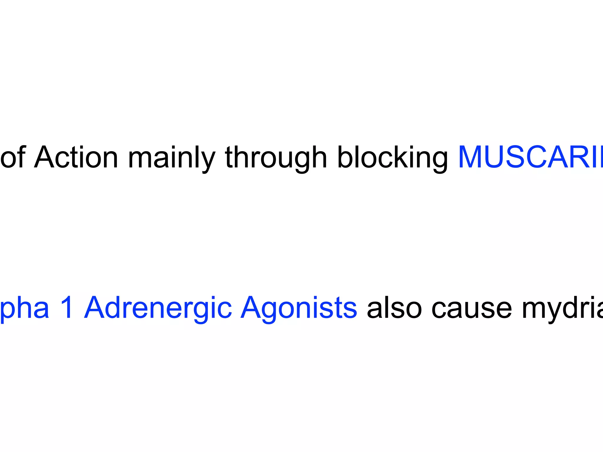 of Action mainly through blocking MUSCARINIC 
Alpha 1 Adrenergic Agonists also cause mydriasis 
 