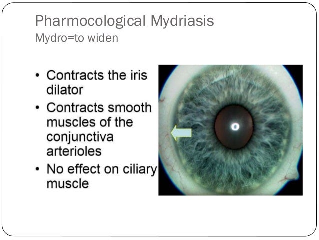 pharmocological mydriasis mydroto widen