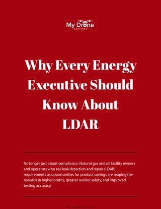 Executive guide to gas leak detection and ldar