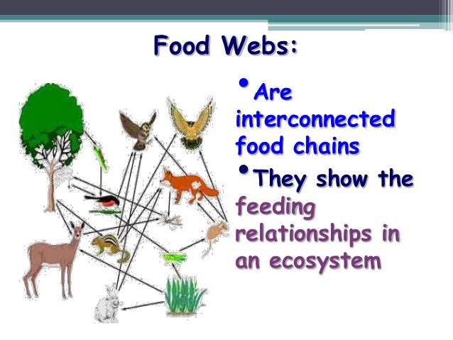 My Ecosystemppt
