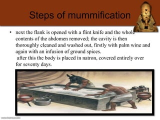 Steps of mummification
• next the flank is opened with a flint knife and the whole
contents of the abdomen removed; the ca...