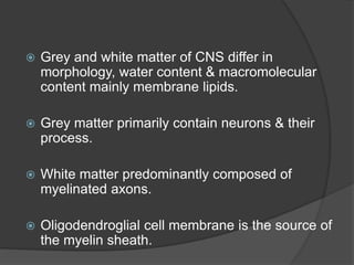  Grey and white matter of CNS differ in
morphology, water content & macromolecular
content mainly membrane lipids.
 Grey matter primarily contain neurons & their
process.
 White matter predominantly composed of
myelinated axons.
 Oligodendroglial cell membrane is the source of
the myelin sheath.
 