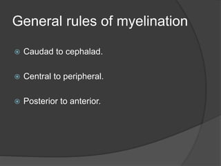 General rules of myelination
 Caudad to cephalad.
 Central to peripheral.
 Posterior to anterior.
 