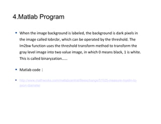 Myelin Matlab Analysis | PDF