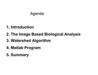 Myelin Matlab Analysis | PDF