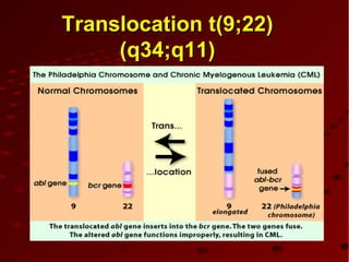 Translocation t(9;22)Translocation t(9;22)
(q34;q11)(q34;q11)
 
