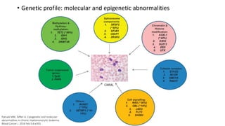 Tefferi Algorithm Adult Myelodysplastic/myeloproliferative neoplasms | PPTX