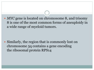  MYC gene is located on chromosome 8, and trisomy
8 is one of the most common forms of aneuploidy in
a wide range of myeloid tumors.
 Similarly, the region that is commonly lost on
chromosome 5q contains a gene encoding
the ribosomal protein RPS14
 