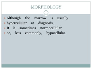 MORPHOLOGY
 Although the marrow is usually
 hypercellular at diagnosis,
 It is sometimes normocellular
 or, less commonly, hypocellular.
 
