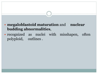  megaloblastoid maturation and nuclear
budding abnormalities,
 recognized as nuclei with misshapen, often
polyploid, outlines .
 