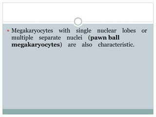  Megakaryocytes with single nuclear lobes or
multiple separate nuclei (pawn ball
megakaryocytes) are also characteristic.
 