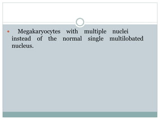  Megakaryocytes with multiple nuclei
instead of the normal single multilobated
nucleus.
 