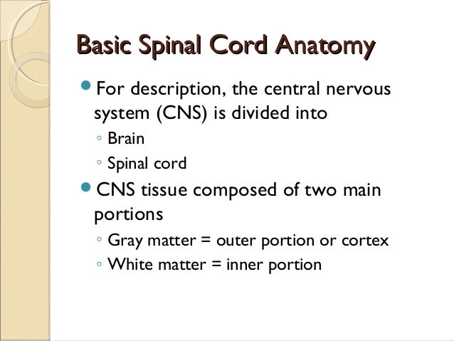 Myelogram rad 205-2011