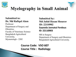 Myelography in Small Animal
Submitted to:
Dr. Md Rafiqul Alam
Professor
Department of Surgery and
Obstetrics
Faculty of Veterinary Science
Bangladesh Agricultural
University,
Mymensingh - 2202
Submitted by:
Md Jahid Hasan Shourav
ID: 22110902
Sayeeda Jannatul Ferdous
ID: 22110903
MS in Surgery
Department of Surgery and Obstetrics
Bangladesh Agricultural University.
Course Code: VSO 607
Course Title : Radiology
 